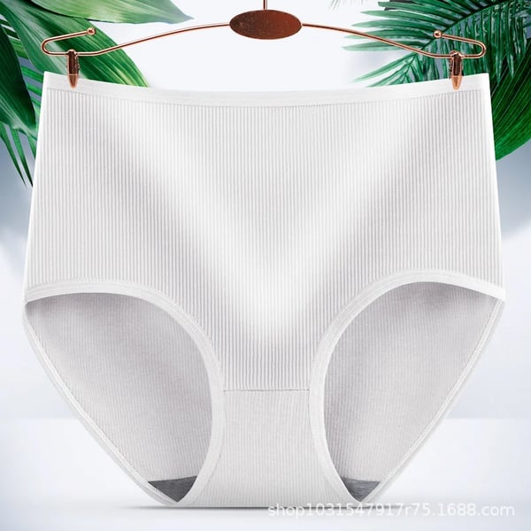 🎁Kauf 1, erhalte 2✨Saugfähige Damenhöschen mit hoher Taille