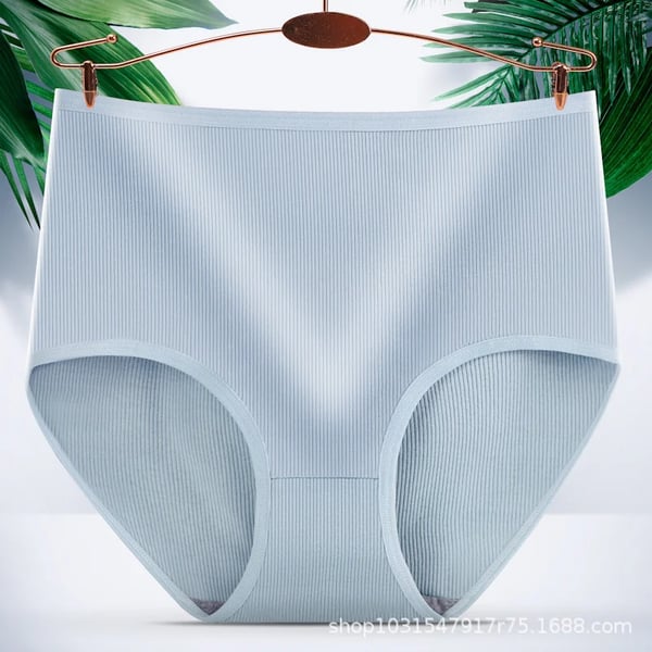 🎁Kauf 1, erhalte 2✨Saugfähige Damenhöschen mit hoher Taille