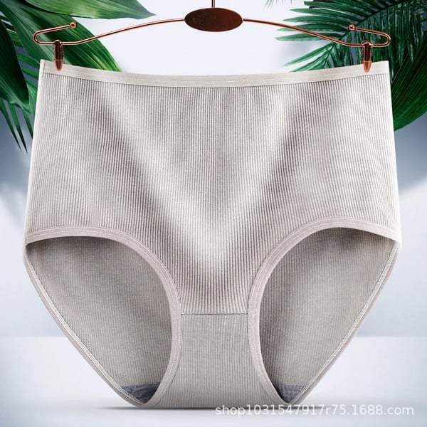 🎁Kauf 1, erhalte 2✨Saugfähige Damenhöschen mit hoher Taille