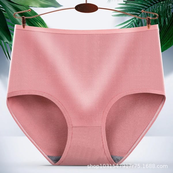 🎁Kauf 1, erhalte 2✨Saugfähige Damenhöschen mit hoher Taille